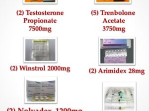 Kaaft elo den Intermediate Steroid Cycle II