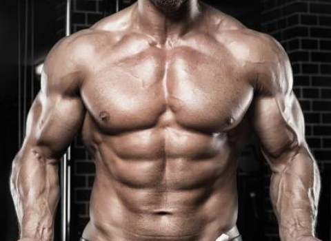 Buy Advanced Steroid Cycles For Sale